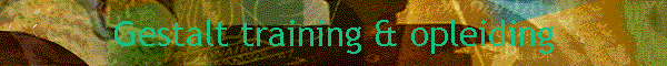 Gestalt training & opleiding